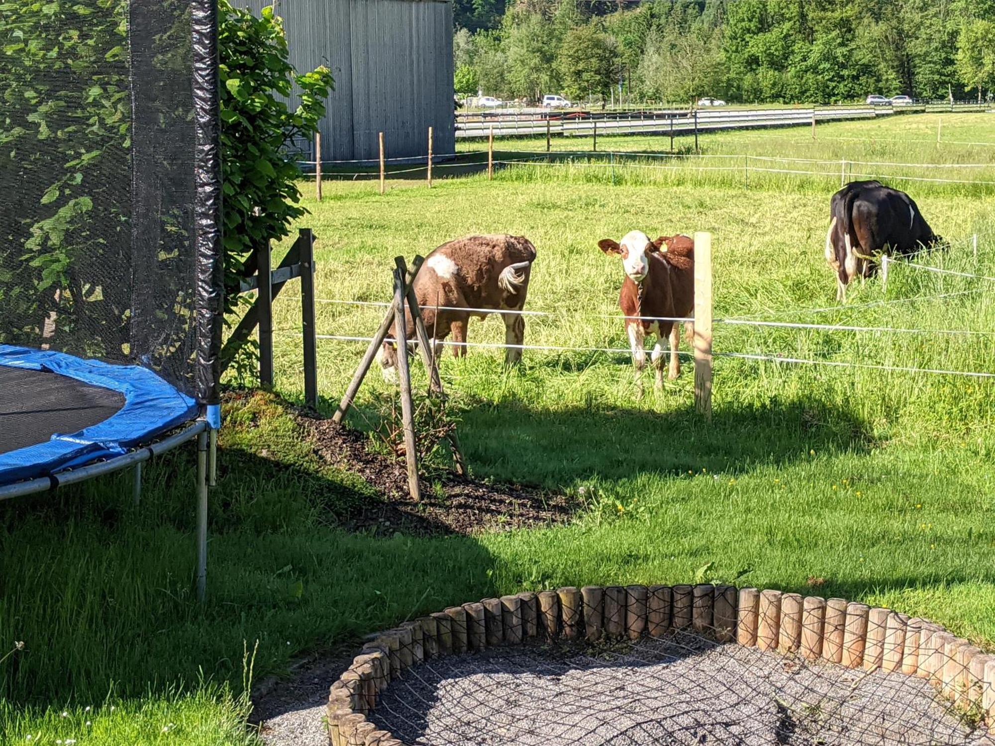 Ferienhaus Schwarzhans Schruns Exteriér fotografie